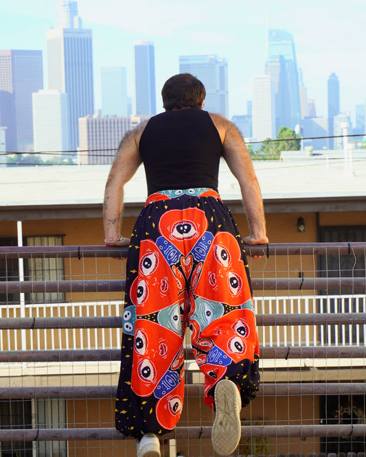 the heart has eyes lantern pant